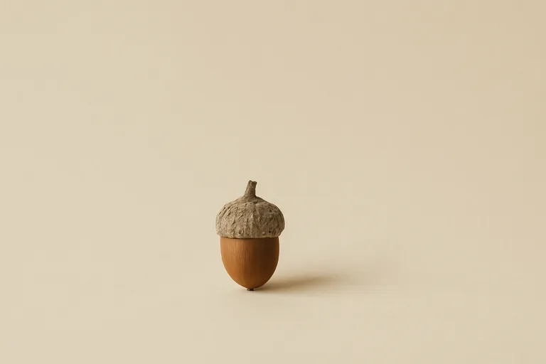 A single acorn with a brown base and textured cap centered on a soft beige background, emphasizing negative space.